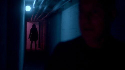 Videoman filmas žiurėti online