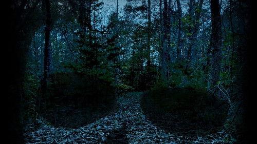 Char Man filmas žiurėti online