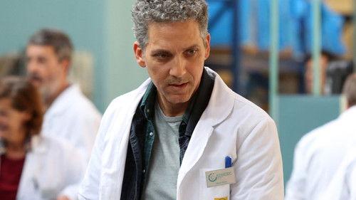 Il mondo sulle spalle filmas žiurėti online