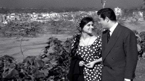 Lady Aziza filmas žiurėti online