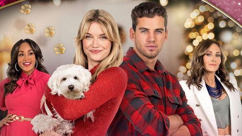 Dognapped: A Hound for the Holidays filmas žiurėti online