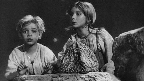 The Magic Seed filmas žiurėti online