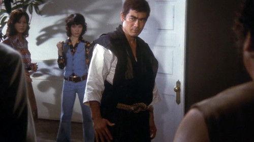 Sister Street Fighter filmas žiurėti online