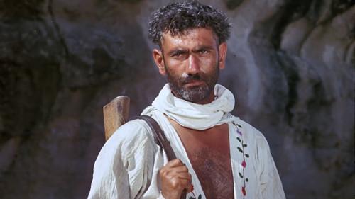 Elegy filmas žiurėti online