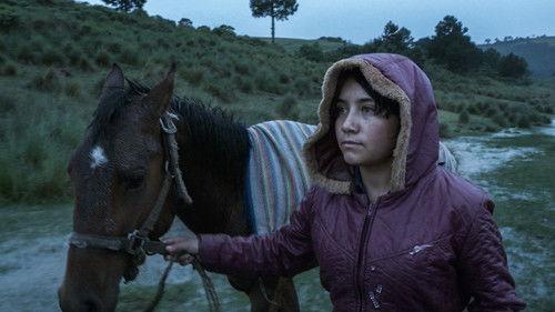 El eco filmas žiurėti online