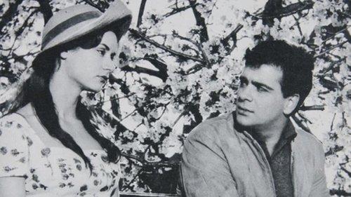 Amaryllis filmas žiurėti online