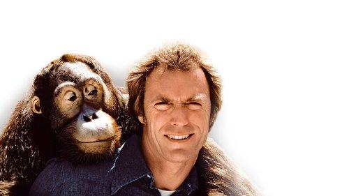 Any Which Way You Can filmas žiurėti online