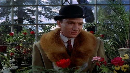 ¡Adiós, Mimí Pompón! filmas žiurėti online