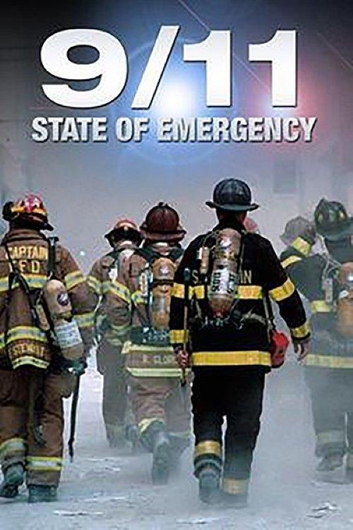 9/11 State of Emergency filmas online