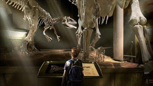 The Adventures of Jurassic Pet filmas žiurėti online