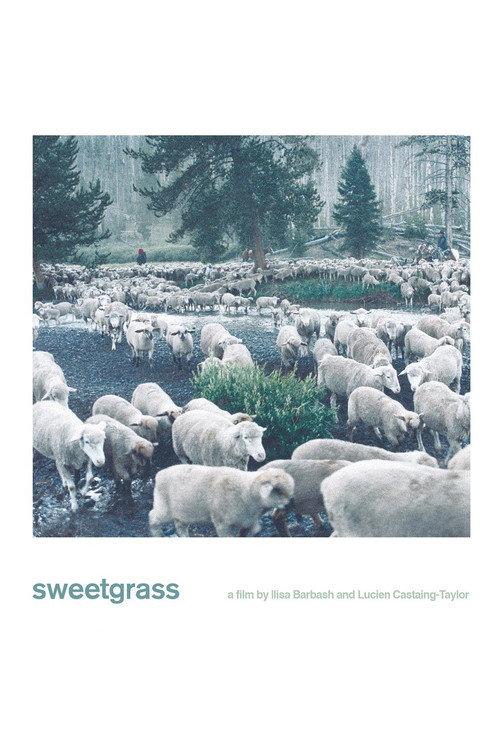 Sweetgrass filmas online