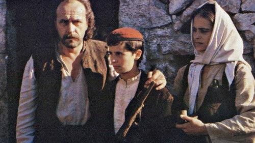 Virgina filmas žiurėti online