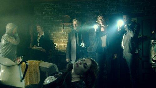 Director's Cut filmas žiurėti online