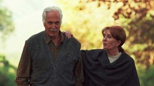 Common Ground filmas žiurėti online