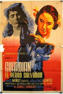 Guardián, el perro salvador filmas online