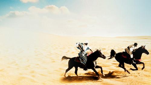 The Black Stallion Returns filmas žiurėti online