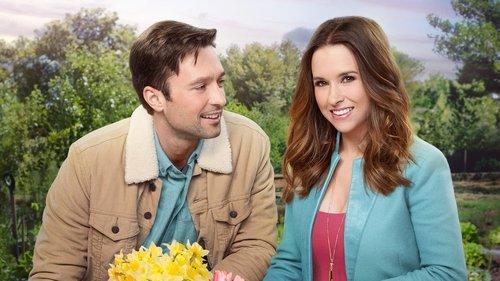 Moonlight in Vermont filmas žiurėti online