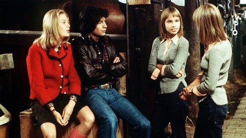 Die Zwillinge vom Immenhof filmas žiurėti online