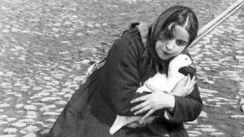 Дом на Трубной filmas žiurėti online