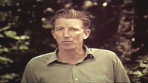 Bigfoot: Man or Beast? filmas žiurėti online