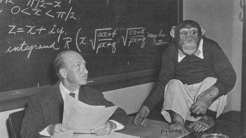 Bonzo Goes to College filmas žiurėti online