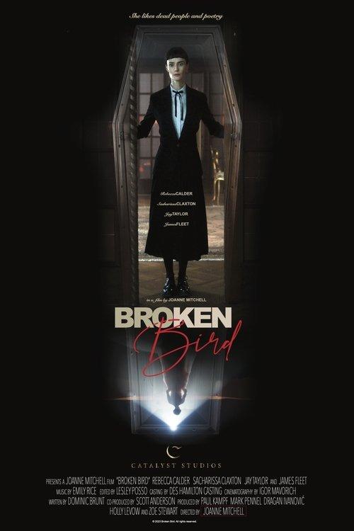 Broken Bird filmas online