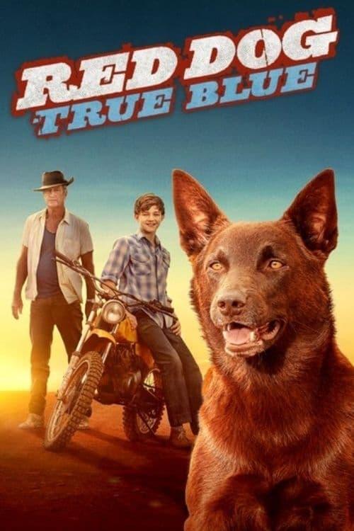 Red Dog: True Blue filmas online