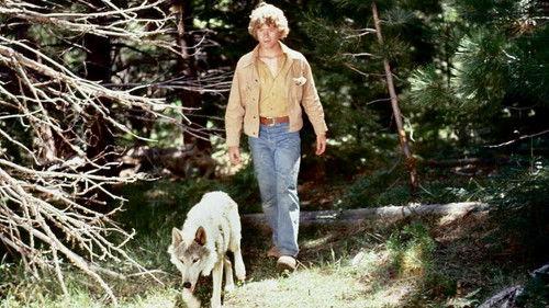 The Flight of the Grey Wolf filmas žiurėti online