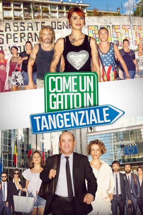 Come un gatto in tangenziale filmas online