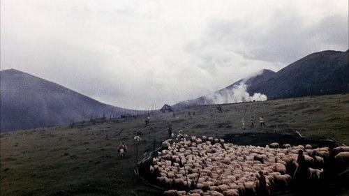 Тіні забутих предків filmas žiurėti online