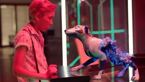 Foksteris ir Maksas filmas žiurėti online