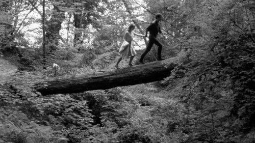 The Bitter Ash filmas žiurėti online