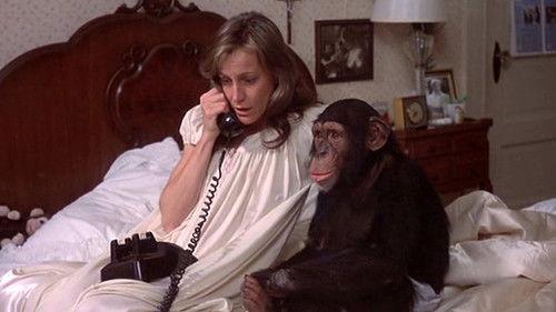 The Attic filmas žiurėti online