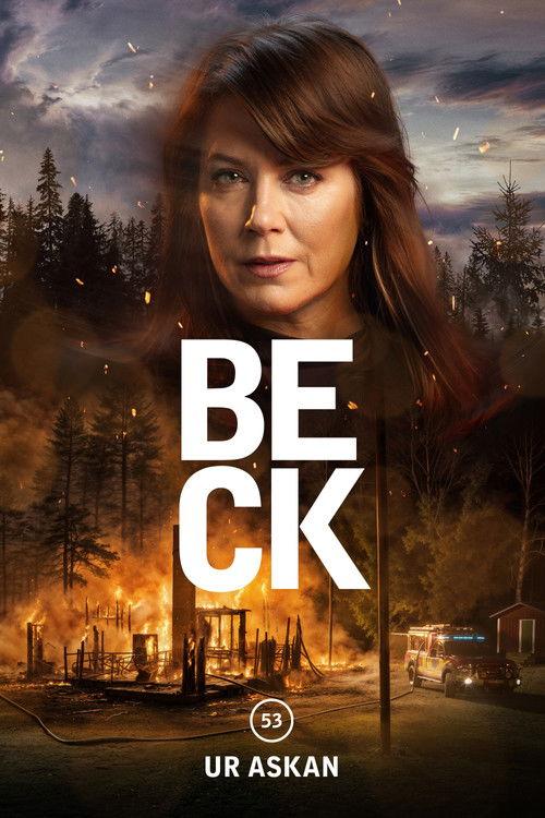 Beck 53 - Ur askan filmas online