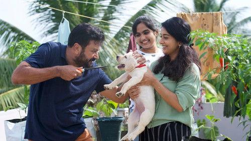 Makal filmas žiurėti online