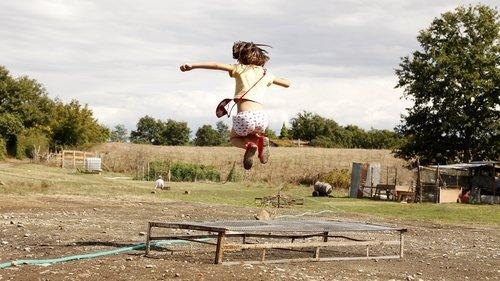 Le meraviglie filmas žiurėti online