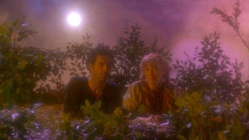 Twilight of the Ice Nymphs filmas žiurėti online