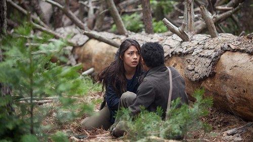 What Still Remains filmas žiurėti online