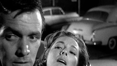 Night Chase filmas žiurėti online