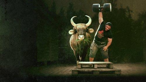 Proteinas filmas žiurėti online