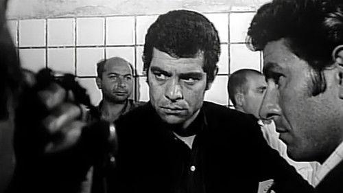 Gheisar filmas žiurėti online