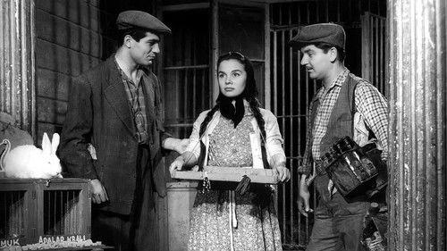 Three Friends filmas žiurėti online