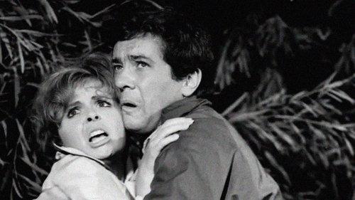 The Bubble filmas žiurėti online