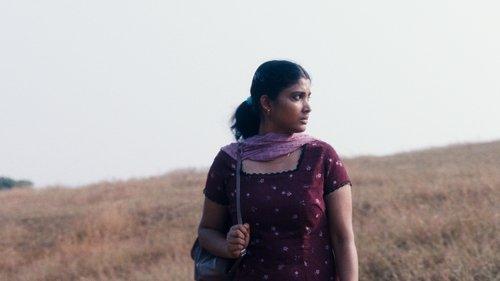 Taip įsivaizduojame šviesą filmas žiurėti online