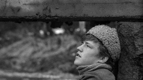 Here Is Your Life filmas žiurėti online