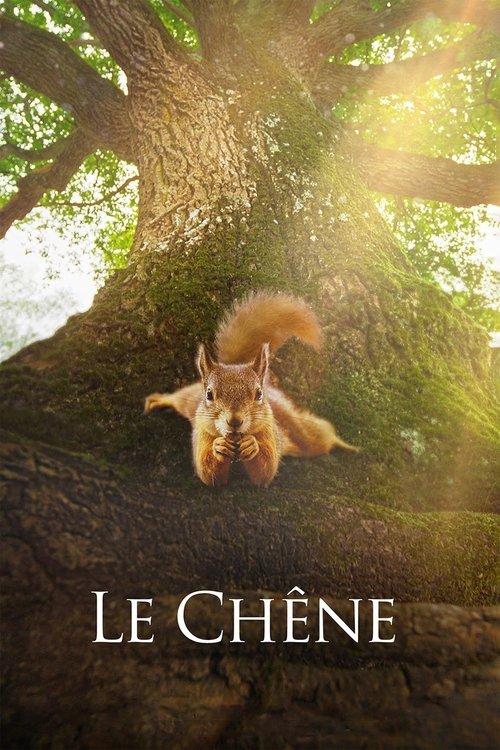 Le Chêne filmas online