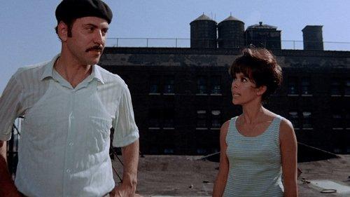 Popi filmas žiurėti online