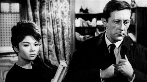 Trouble Among Widows filmas žiurėti online