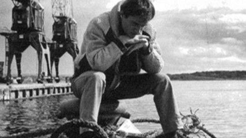 Tonny filmas žiurėti online