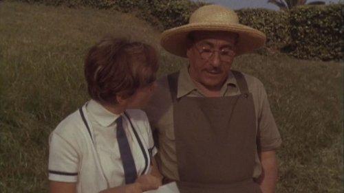 Rita the Mosquito filmas žiurėti online